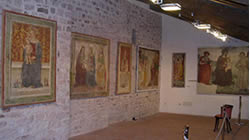 sala_tele_thumb 1083